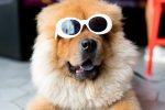 alan-king-KZv7w34tluA-unsplash-7